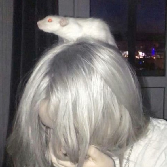 ratlady666